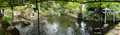 A koi pond within the shrine