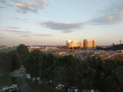 View from Narita Hotel