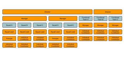 Example Meta Org Design